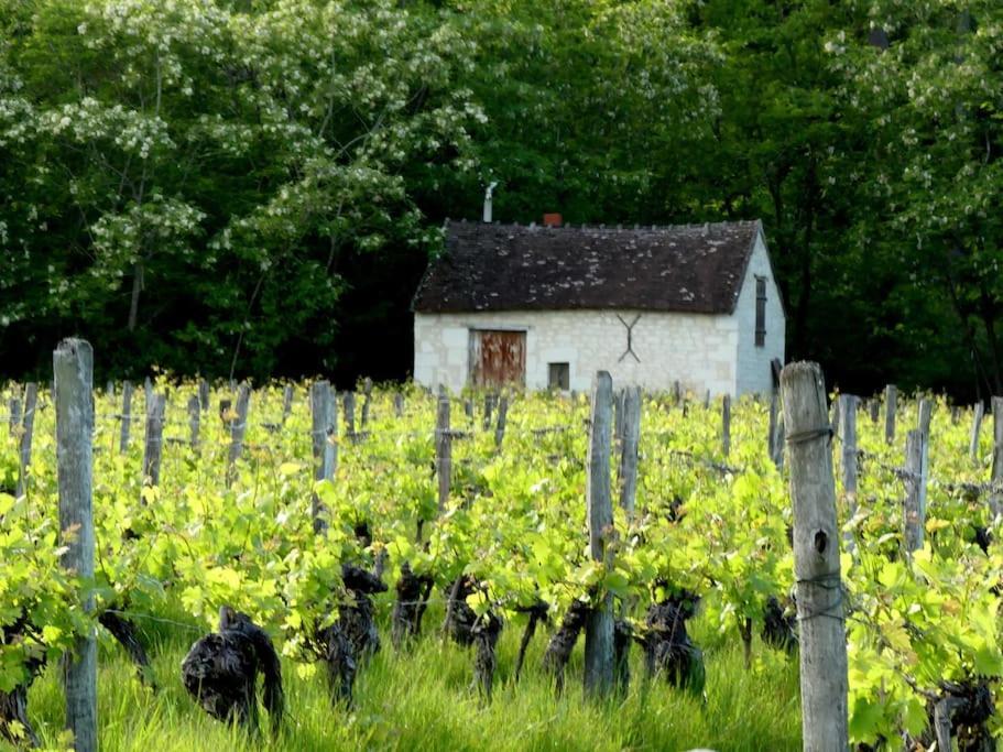 Maison De Bourg Paisible Parcay-sur-Vienne ภายนอก รูปภาพ